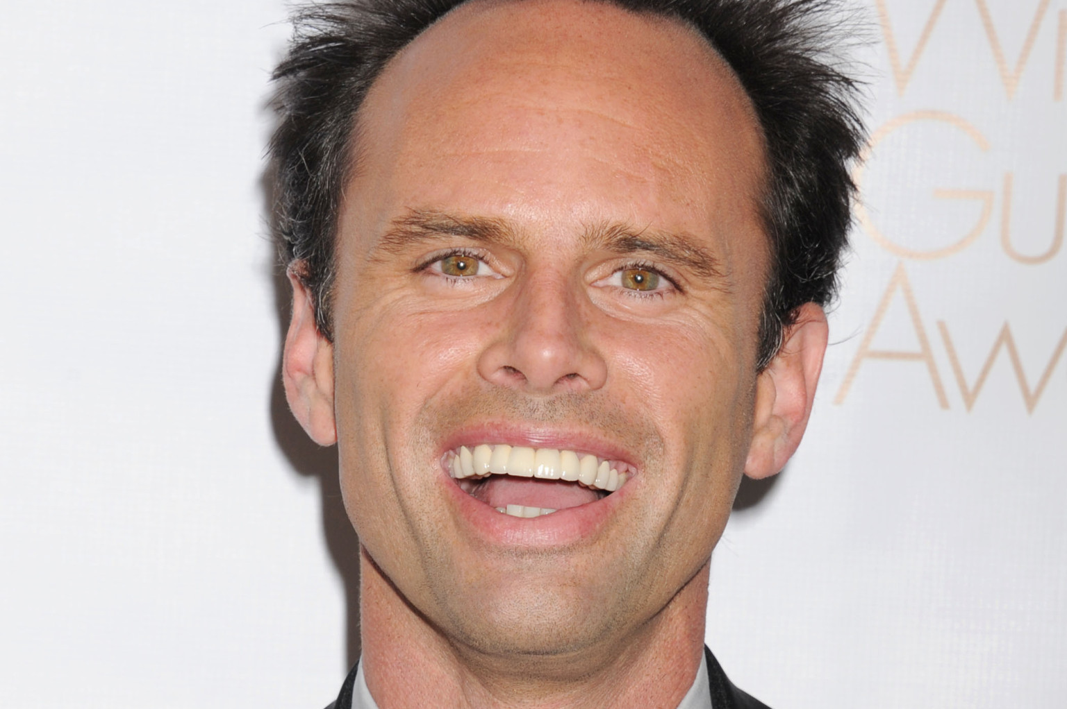 walton-goggins-2016