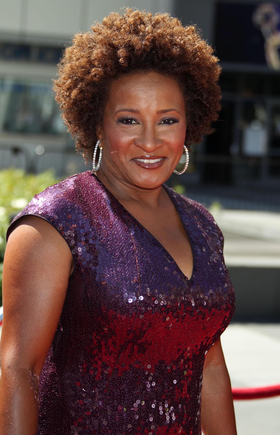 wanda-sykes-news