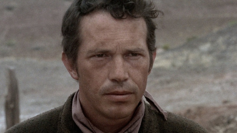 best-pictures-of-warren-oates