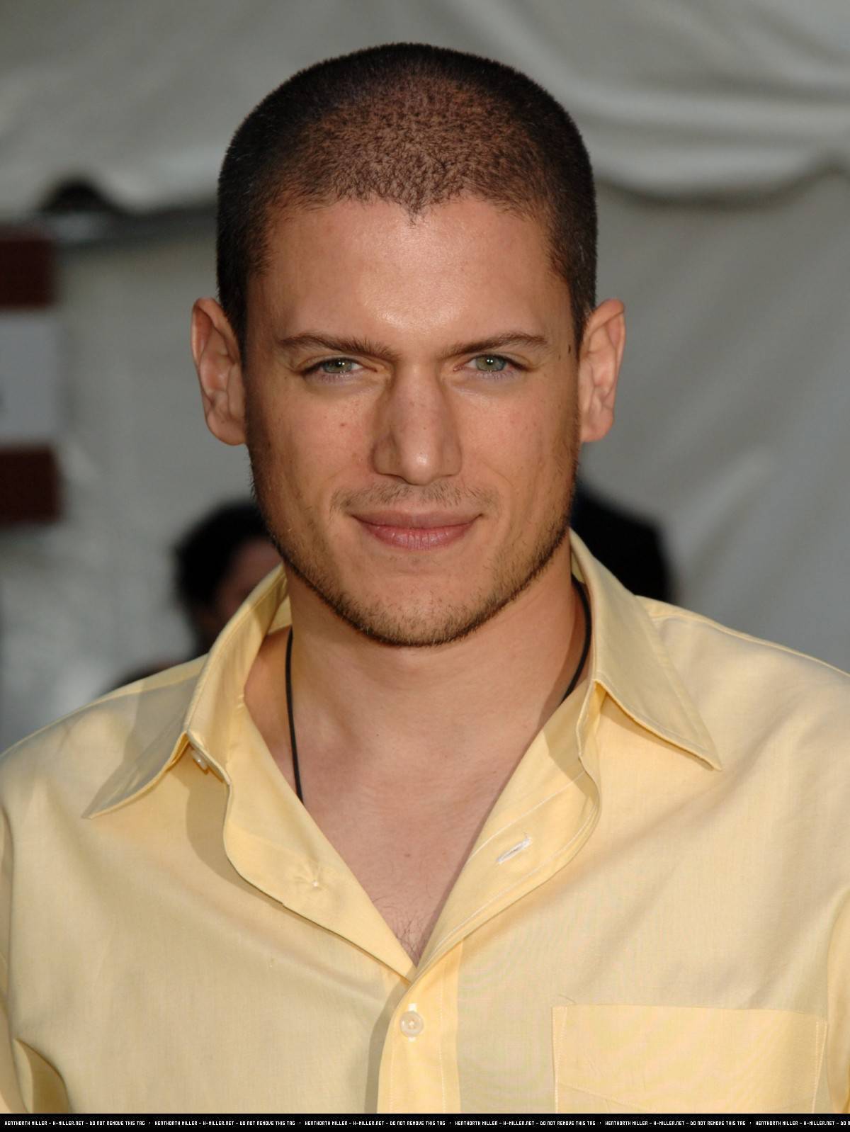 wentworth-miller-gossip