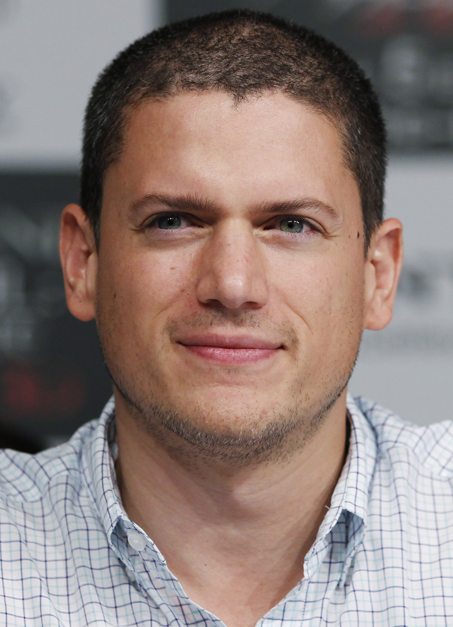 wentworth-miller-scandal