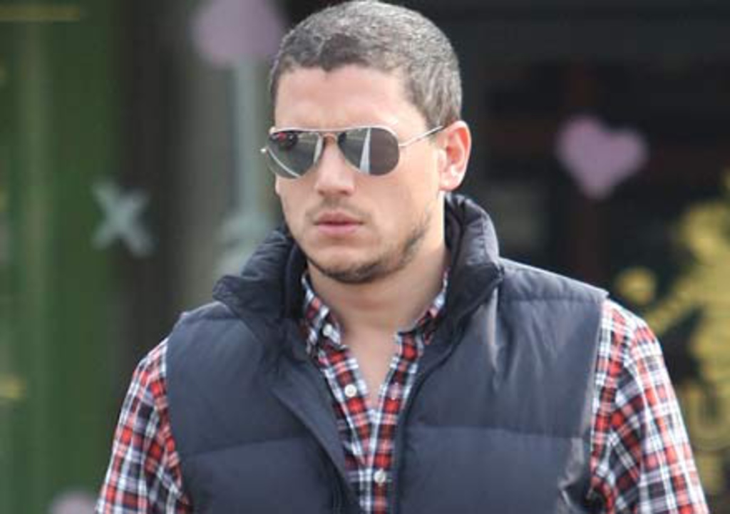 wentworth-miller-summertime