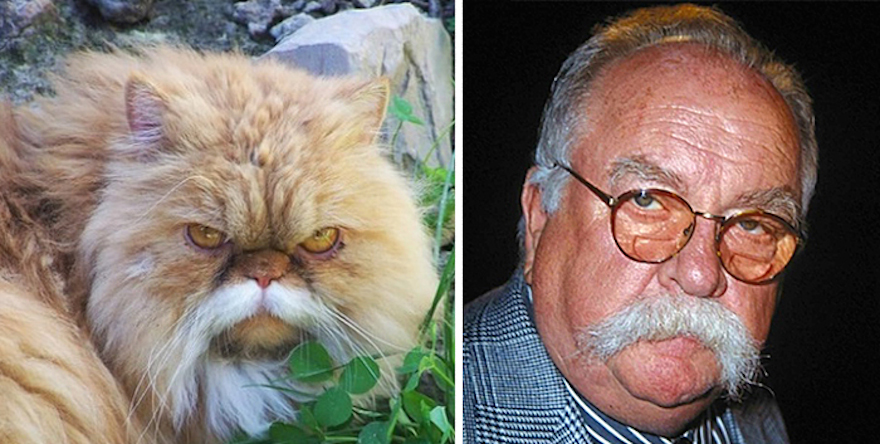 wilford-brimley-2015