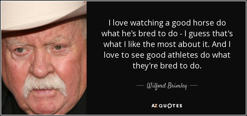 wilford-brimley-movies