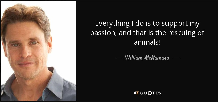 william-mcnamara-hd-wallpaper