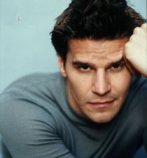 David Boreanaz's picture