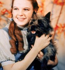 Judy Garland's picture