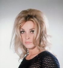 Sharon Tate's picture